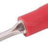 Enchufe macho rojo