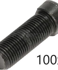 Paquete con tornillos 100 uds., M12x1,25x40