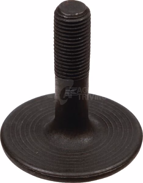 Tornillo 1 Tornillo