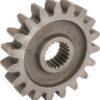 Rueda dentada D=19