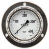 Manómetro Ø 100 0-60 bar 1/2", montaje en panel