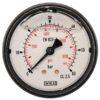 Manómetro Ø 63 0-60 bar 1/4" trasero