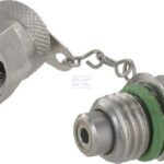 Punto de medición 1/4 NPT RVS