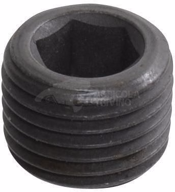 Tapón 1/4" BSP