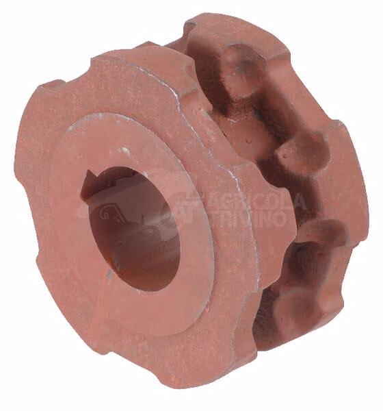 Rueda dentada-Nuez 8x31 5N Ø40/12 1 Rueda dentada-Nuez 8x31 5N Ø40/12