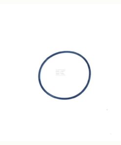 Junta tórica