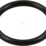 Anillo obturador