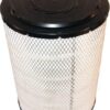 Filtro de aire ext. Donaldson