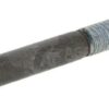 Tornillo 3 Tornillo
