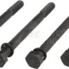 Tornillos Polaris 20 M10x1,20 2 Tornillos Polaris 20 M10x1,20