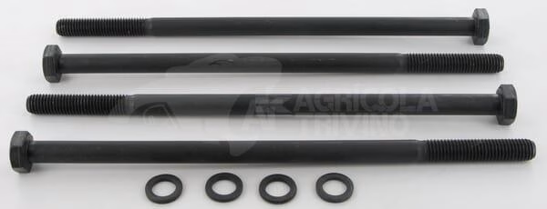 Conj. de pernos Pol.20 M10x220