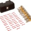 Conjunto conexión +1 ECU 50Pin