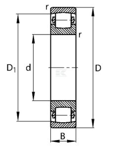 Spherical roller bearing 55x100x21mm SKF