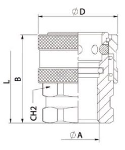 Acopl. ráp. int. 3/8