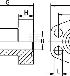 Brida SAE 60° BSP