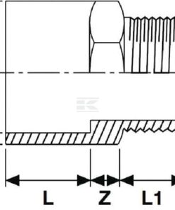 Racor adap. PVC 20/25mm x 1/2"