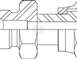 Racor 1/2 BSP x 1 ORFS