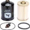 Filtro gas-oil