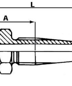 Racor a rosca DN10 - 1/2 BSP hembra