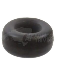 Anillo