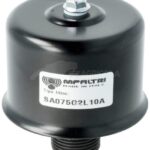 Filtro de aireación 3/4" 10 µm