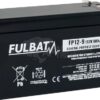 Batería 12V 9,0 Ah (C20) AGM