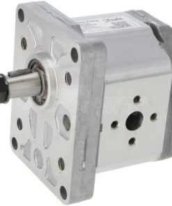 Bomba SKP2-011RE10T80-C3C3P10