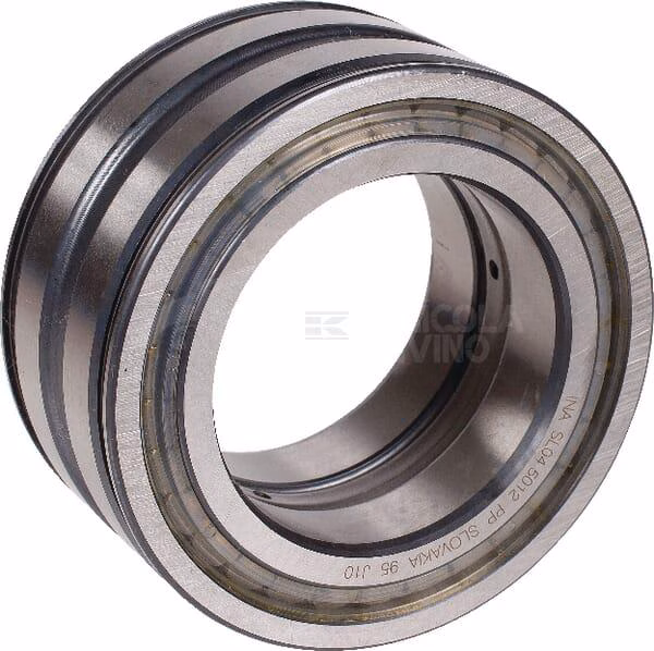 Rodamiento de rodillos cilíndricos 30 x 55 x 19 mm, INA/FAG 1 Rodamiento de rodillos cilíndricos 30 x 55 x 19 mm, INA/FAG