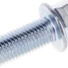 Screw