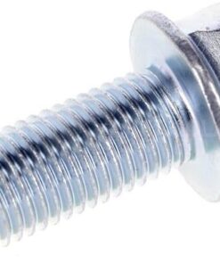 Screw