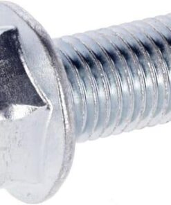 Screw