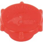 Tapón antipolvo BSP 1/4"