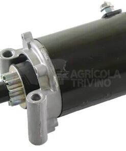 Motor de arranque 12 V