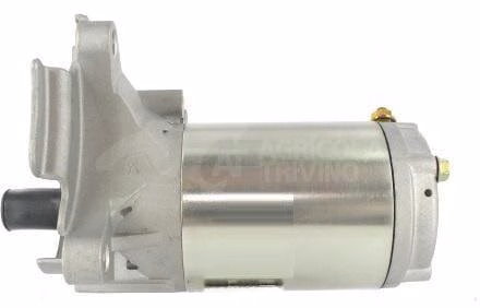 Motor de arranque 12 V 0,8 kW
