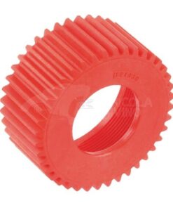 Piñón