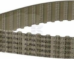 Correa dent. ZRM 120D - 25 mm
