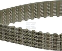 Correa dent. ZRM 130D - 25 mm