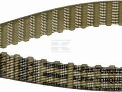 Correa distribución T5 65 dientes 325 x 10 mm Optibelt