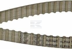 Correa dent. ZRM 102D - 10 mm