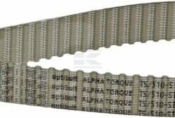 Correa dent. ZRM 102D - 16 mm