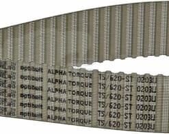 Correa dent. ZRM 124D - 25 mm