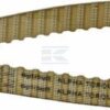 Correa dent. ZRM 128D - 10 mm
