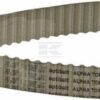 Correa dent. ZRM 128D - 16 mm