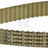 Correa dent. ZRM 144D - 16 mm