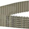 Correa dent. ZRM 144D - 25 mm