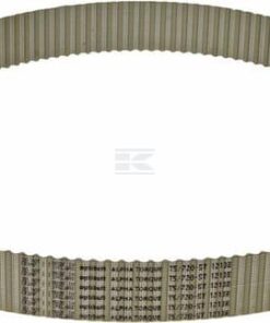 Correa dent. ZRM 144D - 25 mm