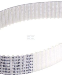 Correa dent. ZRM 163D - 25 mm