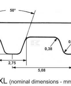 Correa dentada ZR 30D - 3/8