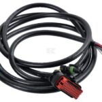 Cables de sección módulo SDM