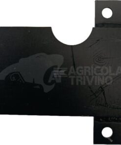 Placa de fijación de asiento